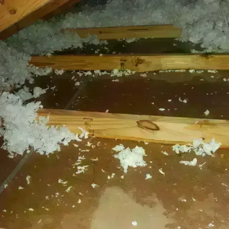 Attic Water Damage in North Ogden, UT